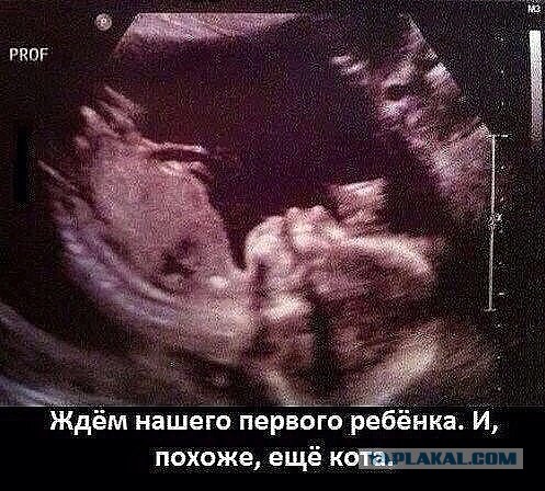 Так себе картинки 28.03.25