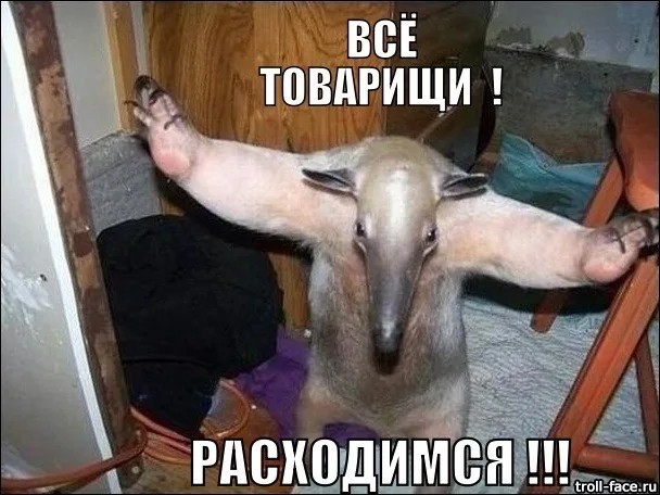 Какая странная собака