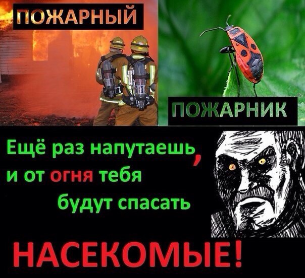 Отборные баяны 10-летней выдержки - ONLY US vol.2