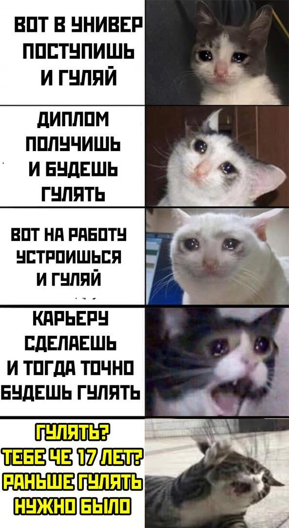 К котовторнику: подборка картинок-баянов с котиками и про котиков. Выпуск 23.