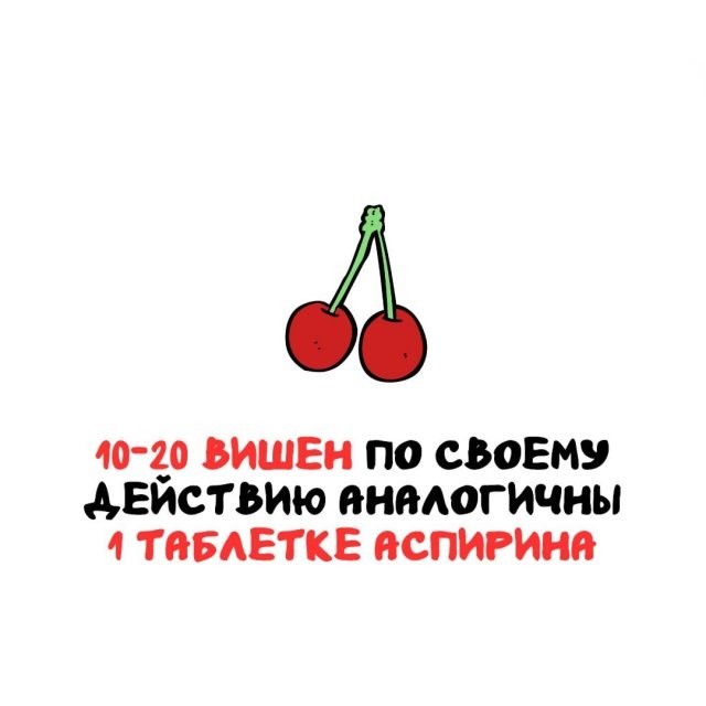 Подборка интересных фактов на все случаи жизни 26.11.25