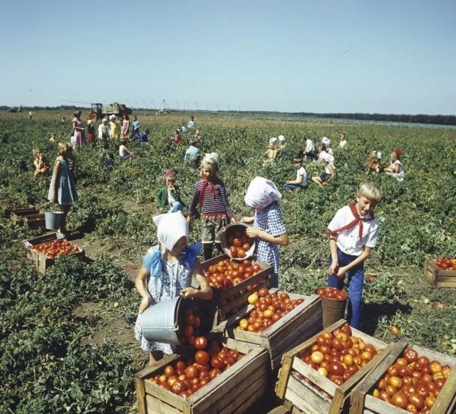 Фотографии из прошлого нашей страны – 138