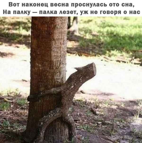 Картинки для деградации 202 (разной степени свежести)