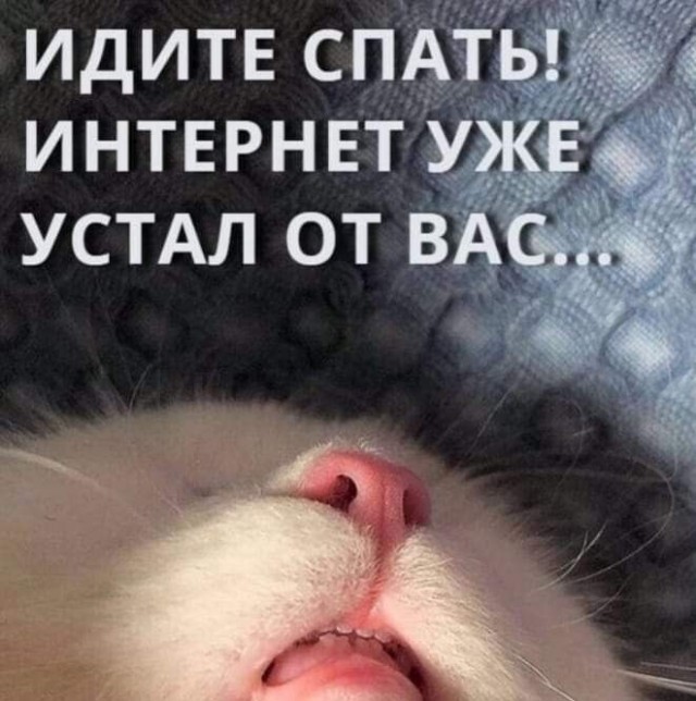 К котовторнику: подборка картинок-баянов с котиками и про котиков. Выпуск 38.