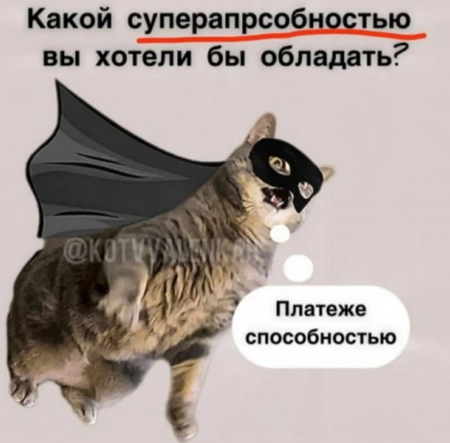 К котовторнику: подборка картинок-баянов с котиками и про котиков. Выпуск 42.