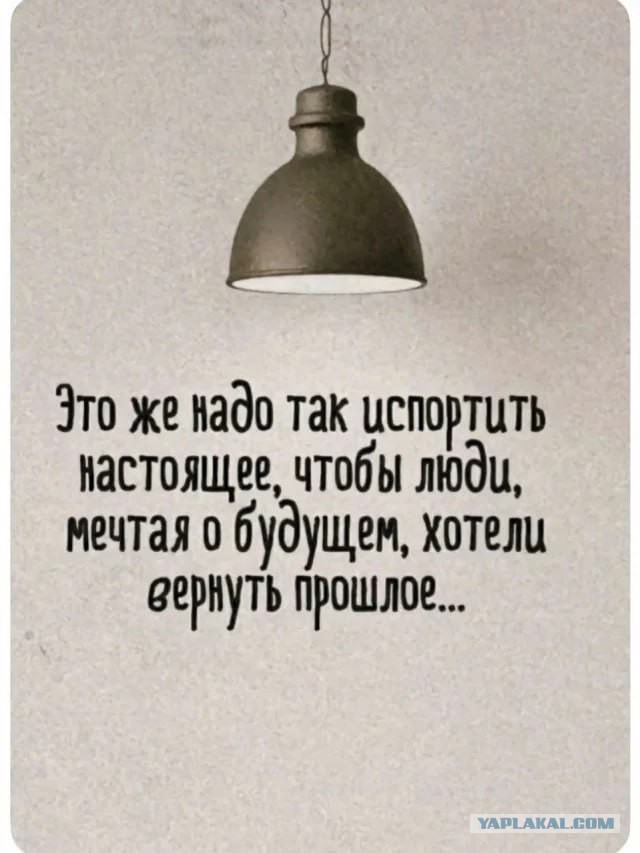 А я просто набюдаю!
