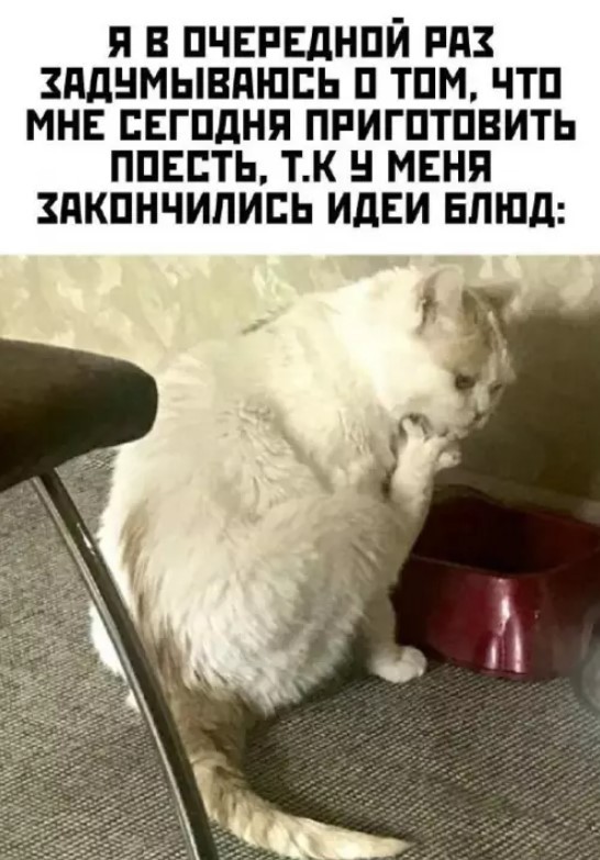Картиночки, баянчики 01 августа