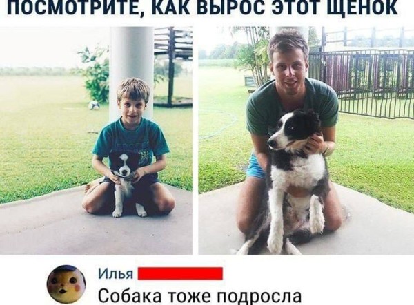 Картинки для деградации 290 (разной степени свежести)