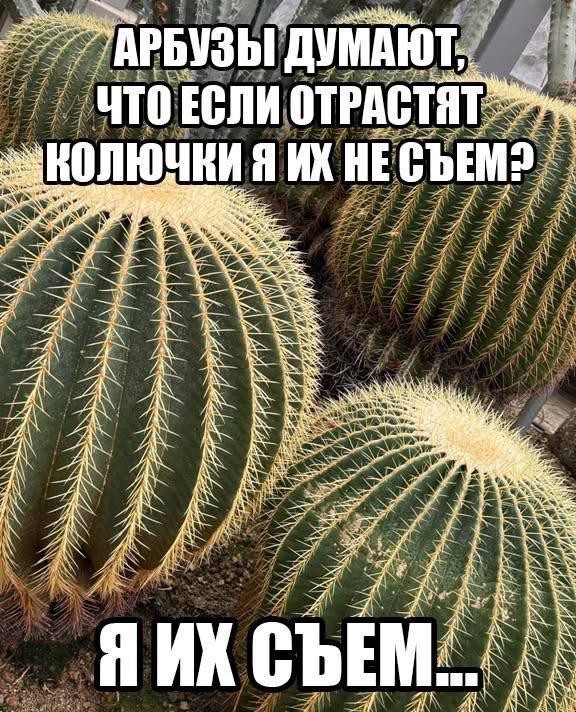 Картинки для деградации 294 (разной степени свежести)