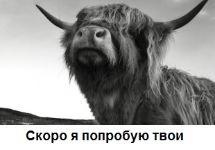 Отрезаные яйца (готовим)