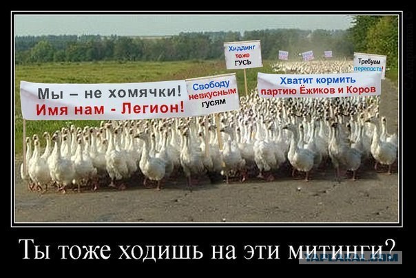 Слова парня из беркута