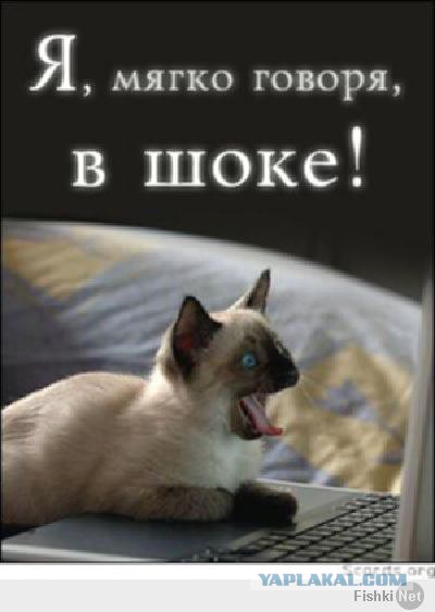 Осторожно, платоническая блядь