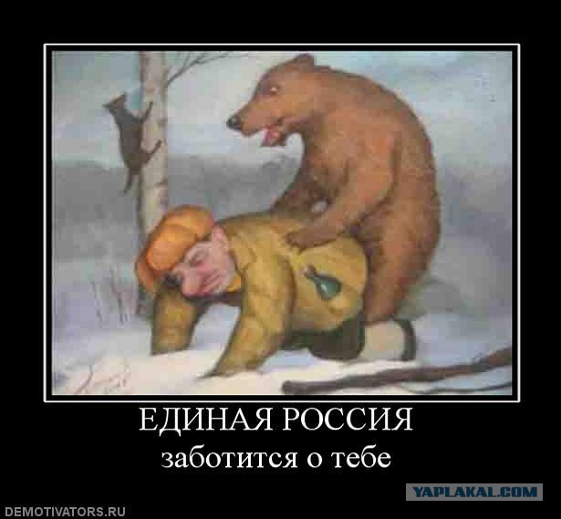 Капитан Кенгуру - Олимпиада это очень хорошо!