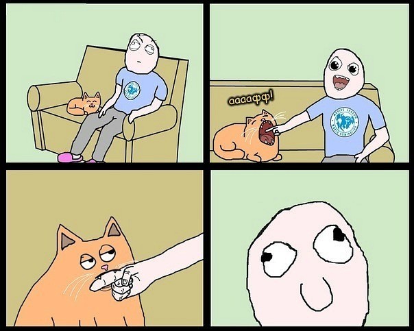 Подслушано: Про Котов