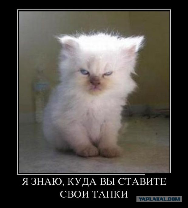 Любопытство до добра не доведет.