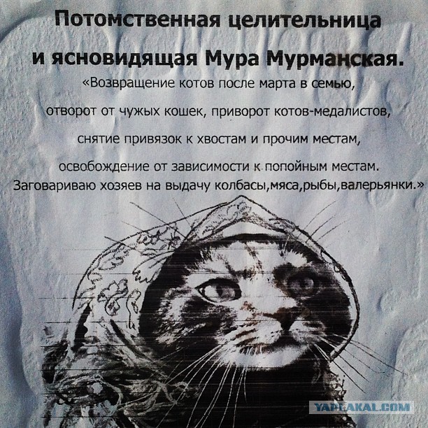 Улыбнуло часть "2"