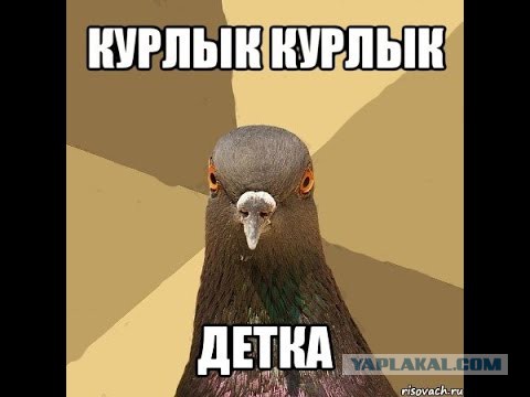 Задержанны вандалы осквернившие звезду