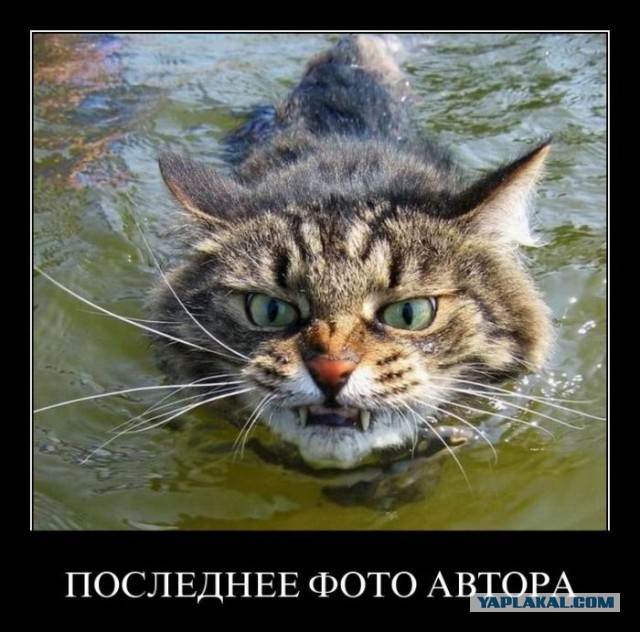 Демотиваторов пост, добавляйте свои