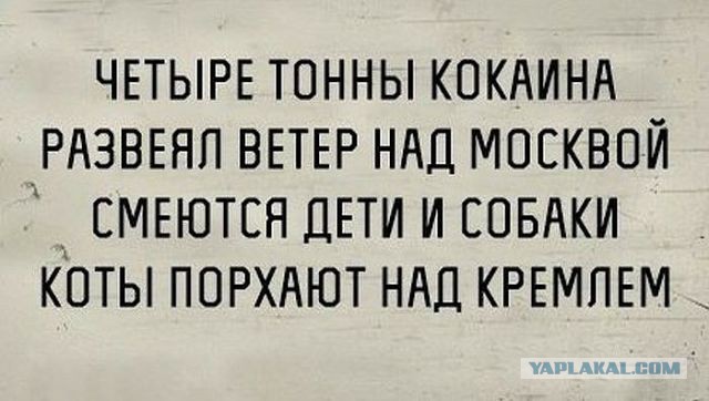 Милонова затроллили в самолете