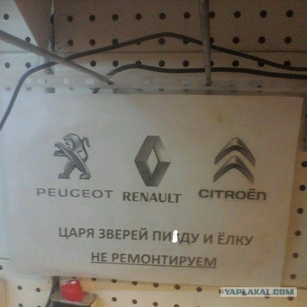 15 фактов о непризнанной в России марке Renault