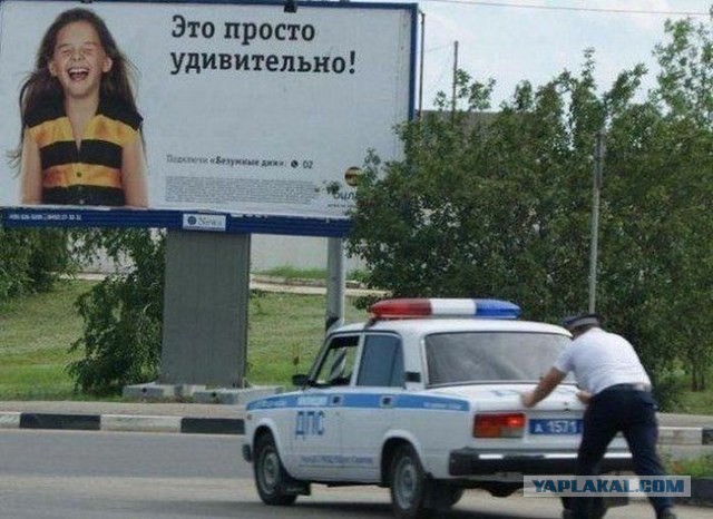 Веселые картинки на пятницу