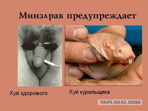 Минздрав предупреждает!