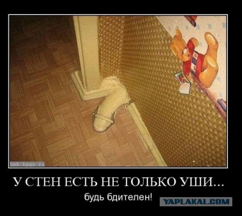 Вы хотите "демов"?