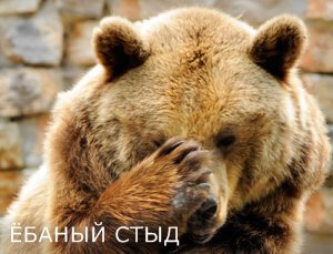 Интервью студентки МГИМО - порнозвезды, она мечтает о карьере Сашки Грэй