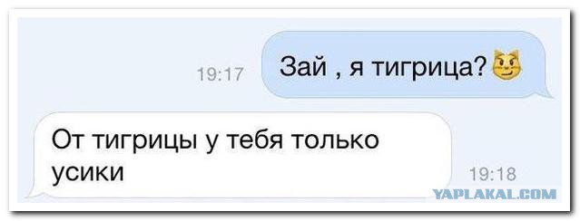 Смешные комментарии из социальных сетей
