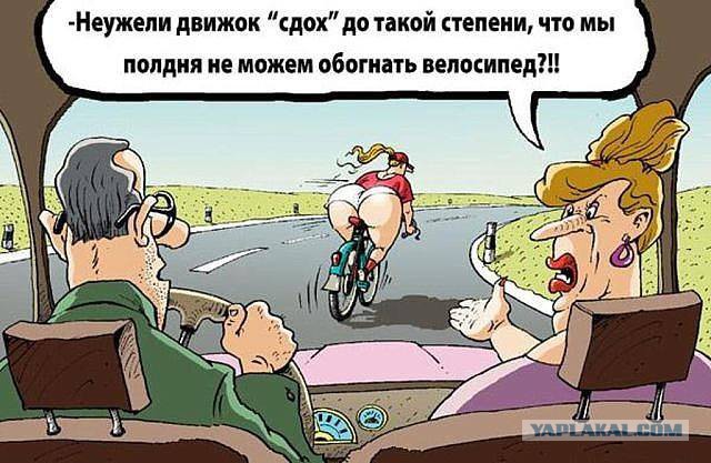 Картинки из сети