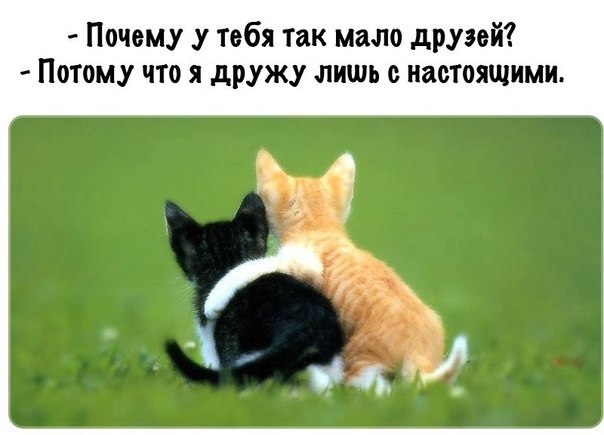 Картинки и демотиваторы