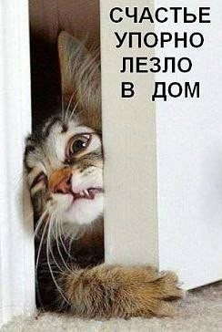 Немного картинок