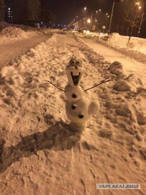 Среда в картинках
