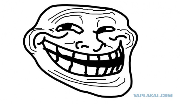 Хозяюшка и умница