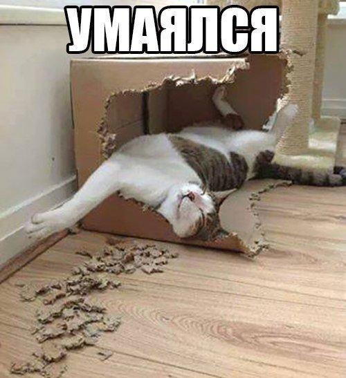 Картинки разные