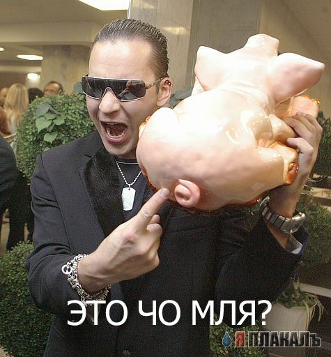 Фотожаба: ЧО?