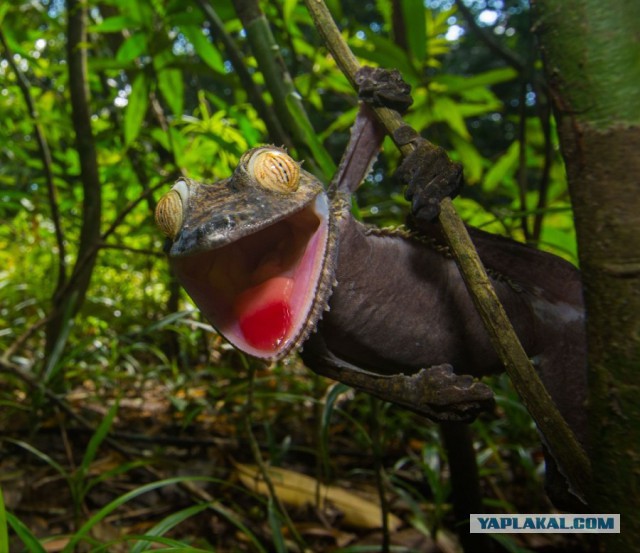 "Я же говорила..."