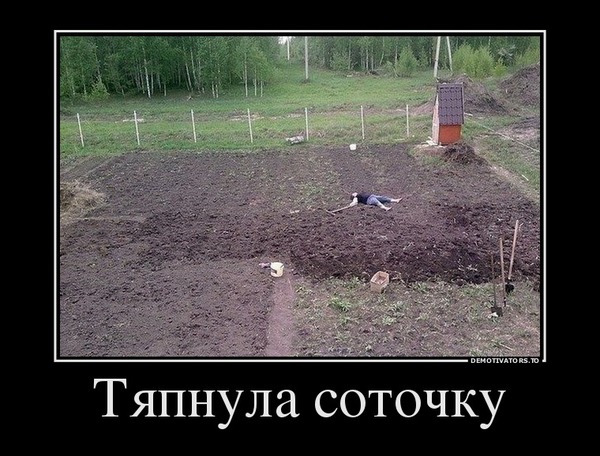 Субботняя подборочка картинок