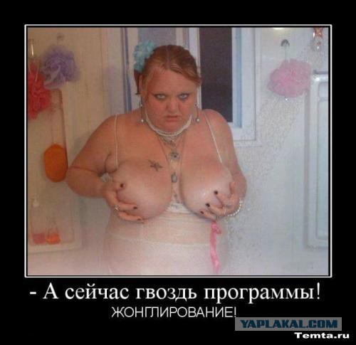 Замужество. А вдруг? Здесь?