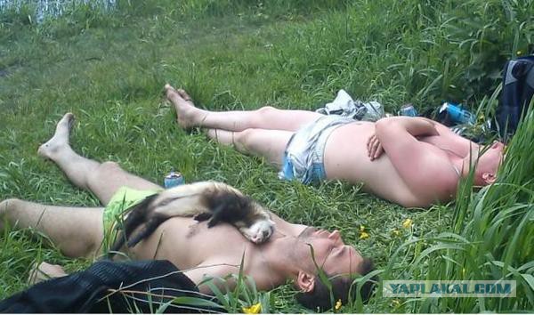 Ужасы и приколы из соцсетей 18+