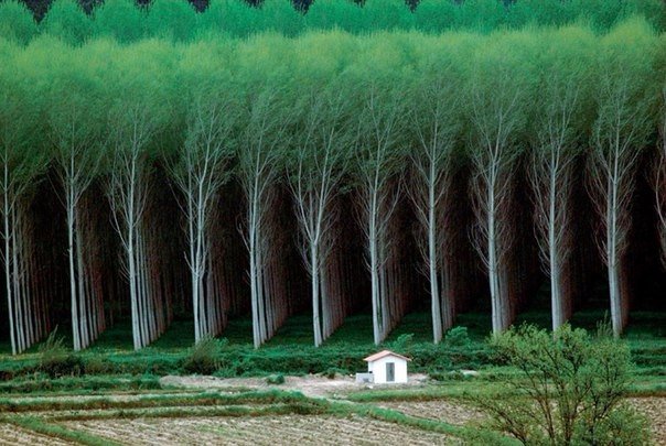 Картинки для отдыха глаз