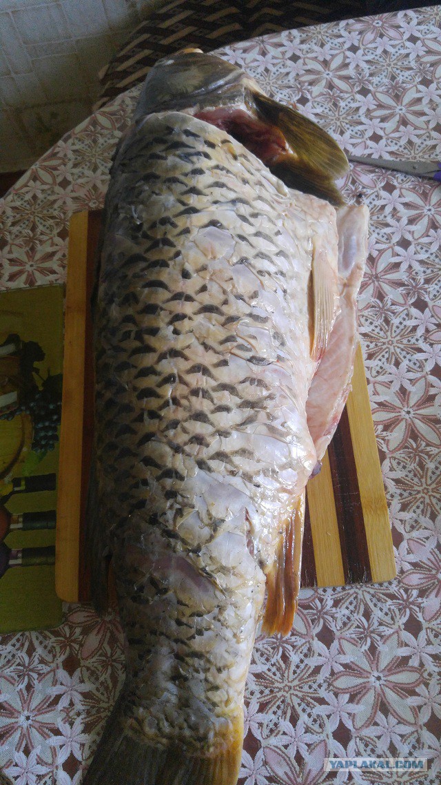 Кухня (кулинарное и околокулинарное общение)