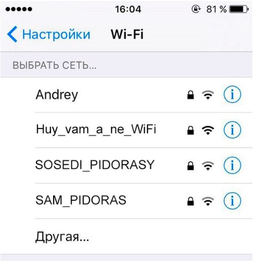 Порция картинок
