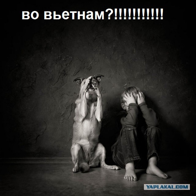 Трамп назначил Маккейна послом во Вьетнам.