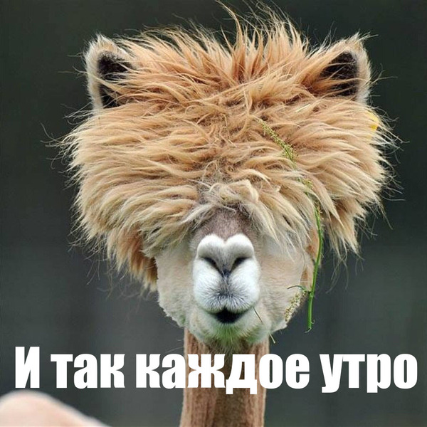 Подборка интересных и веселых картинок
