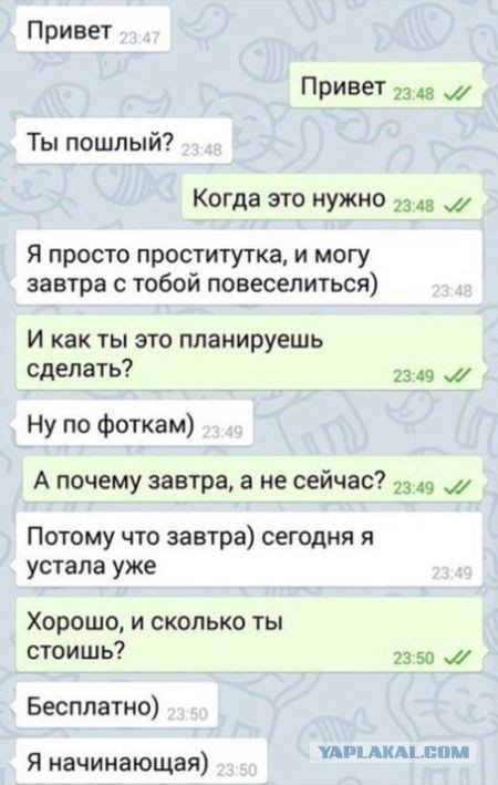 Ужасы и приколы из соцсетей 18+