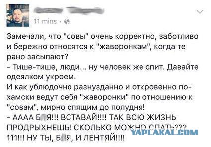 Когда хочется убить соседа