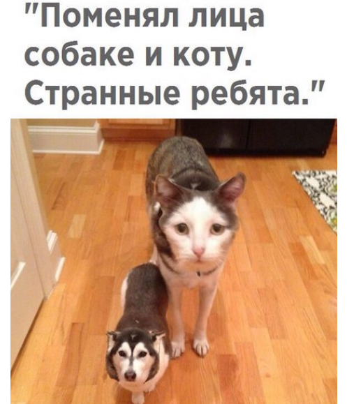 Всяко-разно из тырнэта