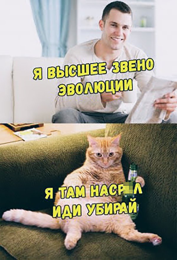 Немного картинок в эту субботу