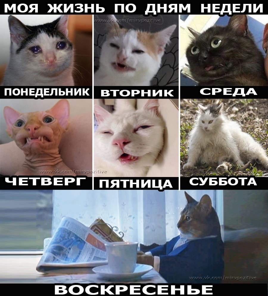 13453505.jpg
